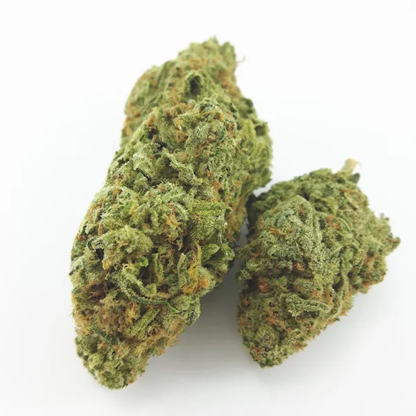 NEVILLE'S HAZE